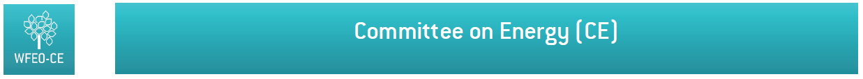 Committee on Energy (CE)