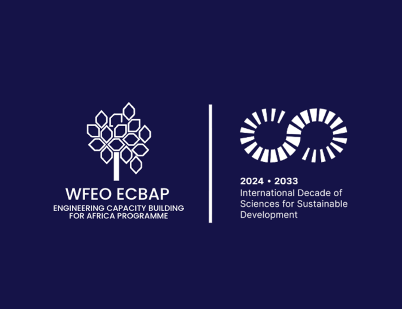 ECBAP-UN_Science_Decade-hp4